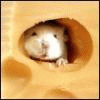 Аватар для Мышь Белая